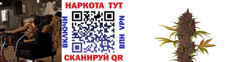 Где продают наркотики Далматово Каннабис  APVP  ГАШ  Меф мяу мяу  КОКАИН 
