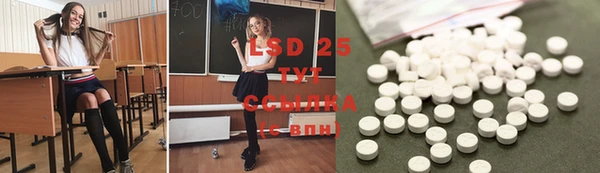 винт Гусев