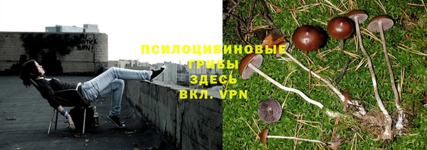 ECSTASY Гусиноозёрск