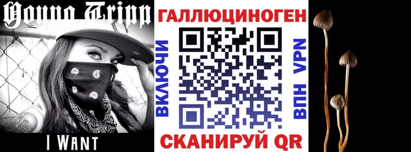 Галлюциногенные грибы Psilocybe  Далматово 